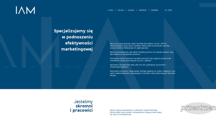 Instytut Audytu Mediowego